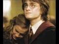Harry Hermionie: Wherever you will go
