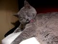 real-female-ejaculation-sexy-teen-squirting-orgasm-tutorial-female-ejaculation-educational-wet-and-wild-babe-sexy-pussy-squirting-wwwgushingcuntscom.html