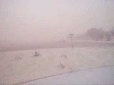 Lubbock Windy Tumble Weeds