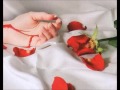 السفينه