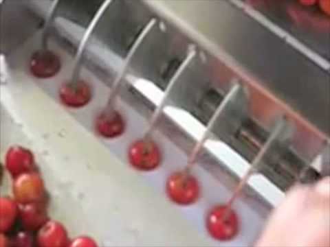 Cherry Pitter