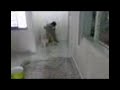 repainting the house