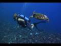 Drop Zone: Tahiti