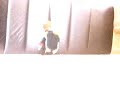 napoleon show episode 2