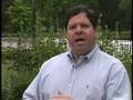 Harpool on Medicaid