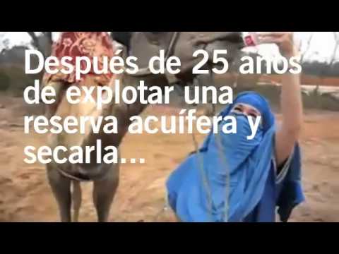 Imagen de previsualización de YouTube