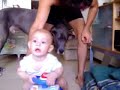 Great Dane and Baby Liel Great Dane and Baby Liel