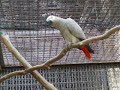 Johor Bahru Mini Zoo