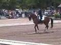 LOMBARDI 11 & PETERS Kur '07 USEF Nat'l