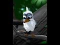 My first video showing me doing things on the Talking Larry the Bird app.