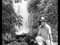Merrell Fankhauser - We were all free/Garden in the rain