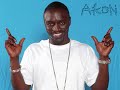 Akon - Locked Up