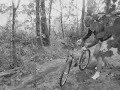 TranDaNippon