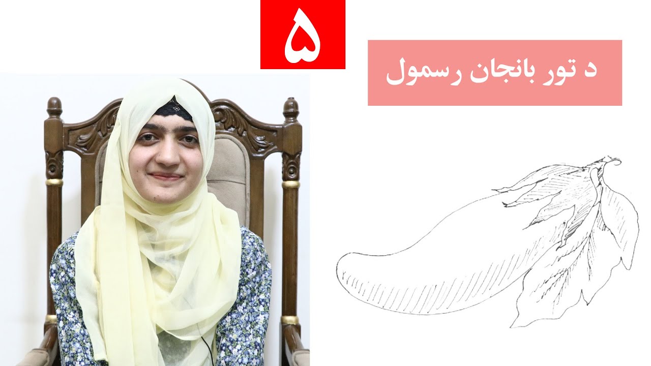 Class 4 - Art | Drawing an eggplant - Lesson 5