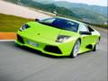 Lamborghini gallardo and mucielago
