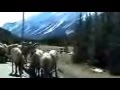 kananaskis 2007