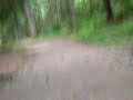 lite skojj me minimoton i skogen lite skojj me minimoton i skogen