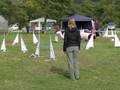 Agility Trbovlje 08 - Jay - j1