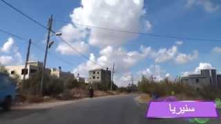 جولة في شوارع - سنيريا - قضاء قلقيليه  - لي وطن - النسخة الأصلية