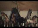 Breyer tour