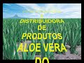 FLP - CLIPE PARA APRESENTAÇÃO DA RO