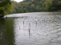 2009.4.18 Lake Kameyama