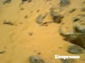 See Video