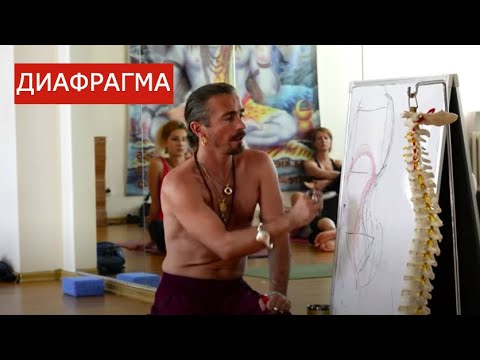 О важности состояния в йоге - Методика Ишвара-Йога О важности состояния в йоге - Методика Ишвара-Йога