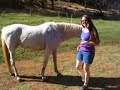 Therapeutic groundwork for Nikki' rehab for broken leg  Homeopathy Surgery