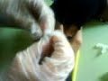 MOV00764,,