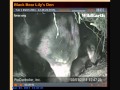 Hope to the rescue 3-1-11.wmv