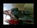8.B...z? CHRAST..!!!!!