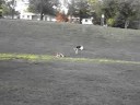 rollllllling down a hill!