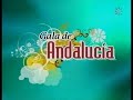 actuaci�n de manolo carrasco en la gala de andalucia 2007 que se celebr� en jerez.