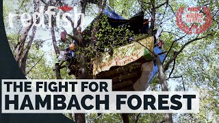 The Fight for Hambach Forest I GER/SPA Subtitles