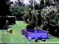 COMERCIALES CHISTOSOS ESTUPIDECES video
