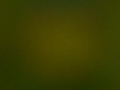 tsbabefan's webcam recorded Video - July 24, 2009, 09:47 PM
