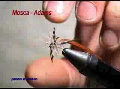 mosca