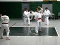 2008-12-26 | Brown-Senior testing (12/11), Hwa Rang ~> This is the Hwa Rang form (I'm the farthest away, the brown belt). The women closest to the camera forgot her form, but I ... (00:53)