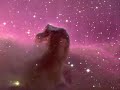 Hawkwind - Born To Go (1971)