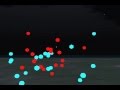 Newtonian N Body OpenSim Demo