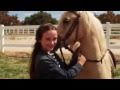 princess and the pony (2011)