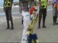 El MONITO REGGAETONERO (TITIRITERO CHAMPETERO)