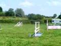 badrc June 2008