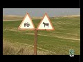 Becarios Precarios (II) - El Escarabajo Verde