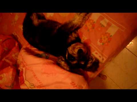 See video