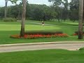 Copperhead Golf Innisbrook