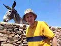 Kythnos Donkey