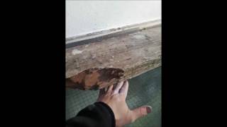 How to Paint Over a Conservatory