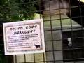 食事中のオカピ（上野動物園）